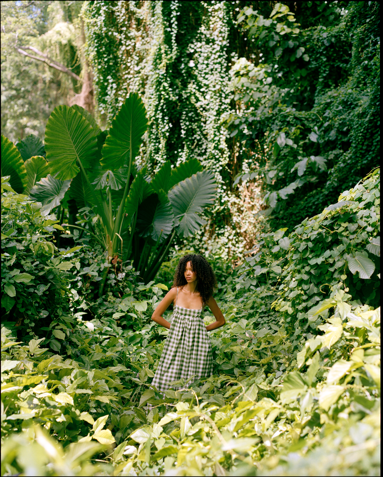 Spring 26